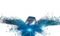 Virtual Reality Wings Reshape Brain Responses