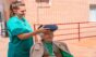 Virtual Reality Helps Retrain the Brain After Limb Loss