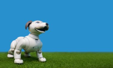 Research tests faces and voices in social robot design