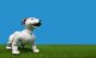 Research tests faces and voices in social robot design